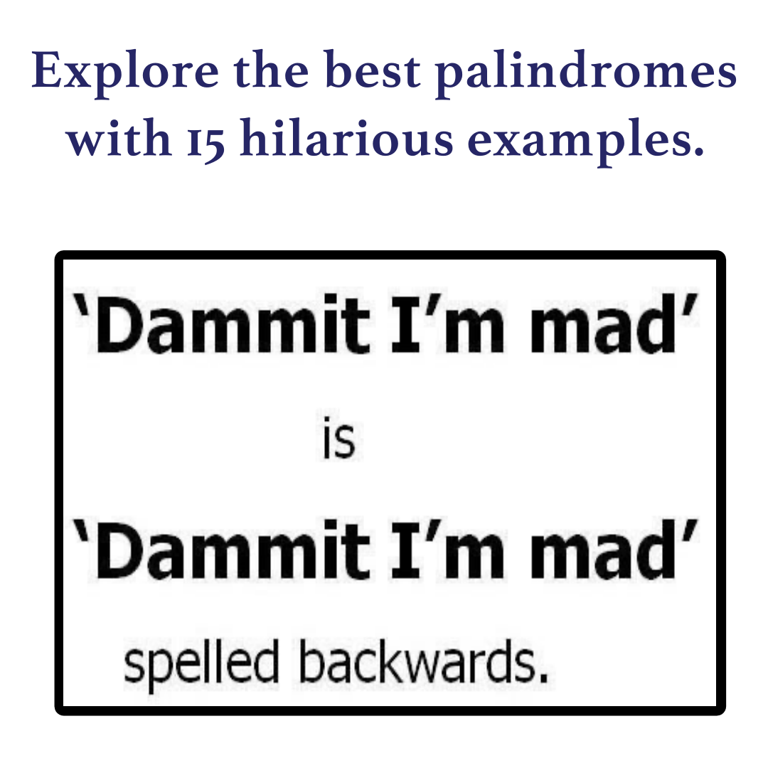 15 Funny And Mind-Bending Palindrome Examples You’ll Love! - The Lingwist